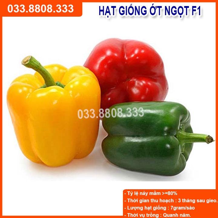 Hạt Giống Ớt Chuông - Quả To Tròn Nhiều Màu
