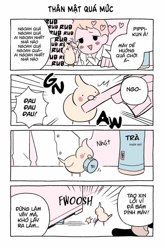 chú mèo kỳ diệu kyuu-chan chapter 574 2