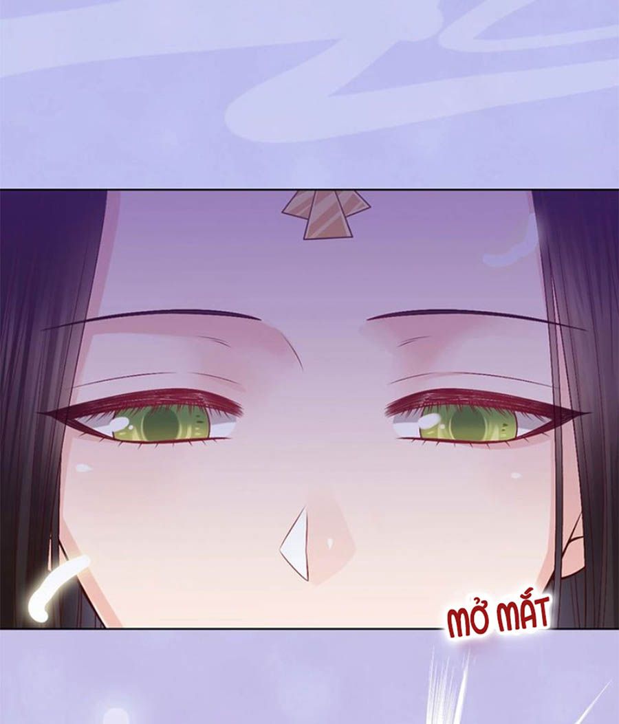 mỹ nhân già rồi chapter 66 22