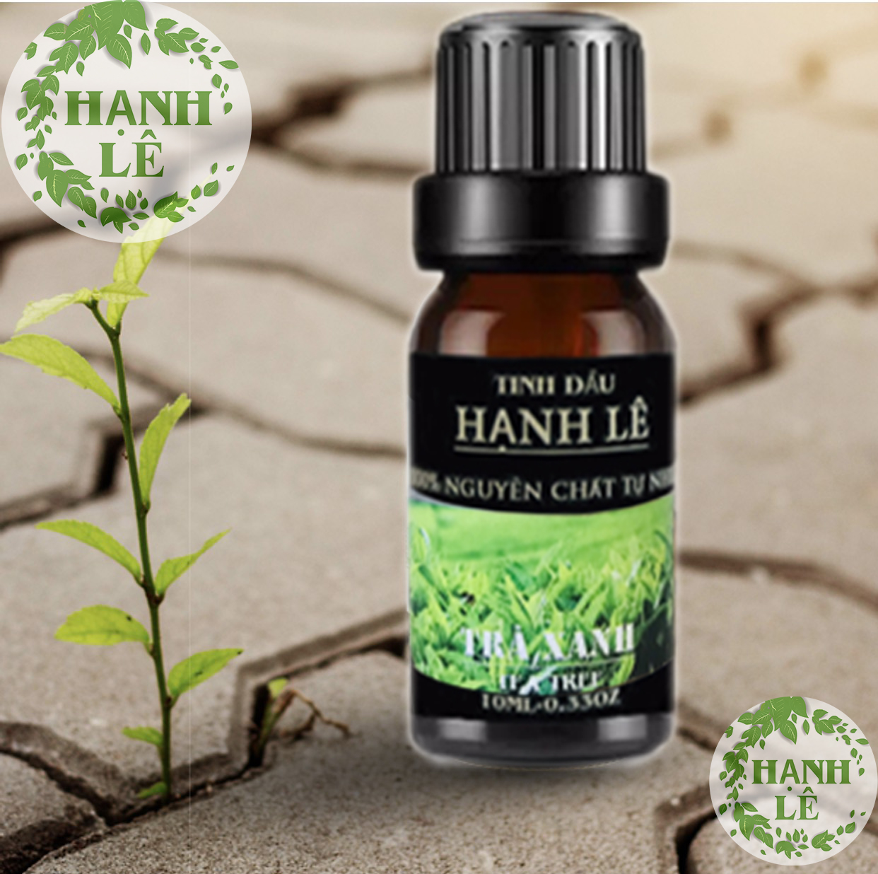 6 CHAI TINH DẦU 100% NGUYÊN CHẤT TỪ THIÊN NHIÊN (10ML): BẠC HÀ - QUẾ - CHANH SẢ - OẢI HƯƠNG - CAM NGỌT - TRÀ XANH