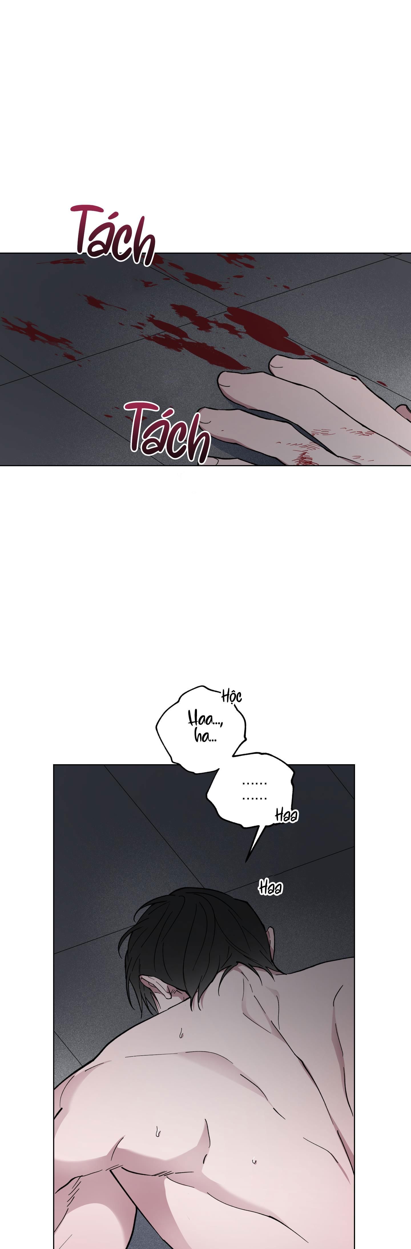 bình minh của rồng chapter 29 41