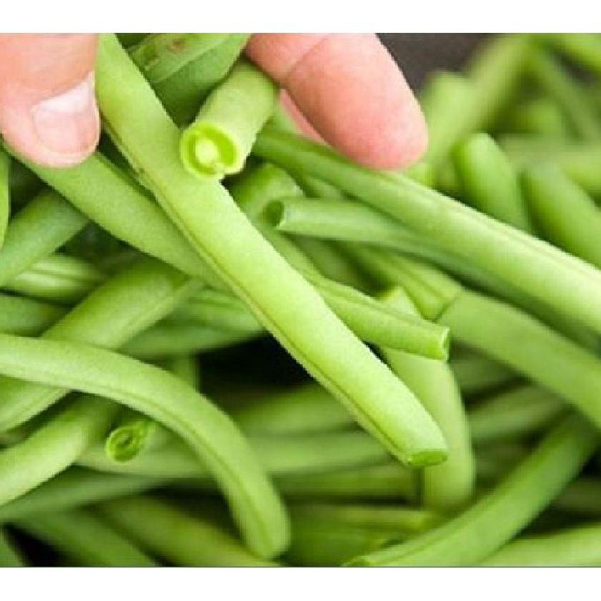 Hạt giống đậu cove bụi,cove lùn xanh-gói 20gram-tặng kèm gói phân bón