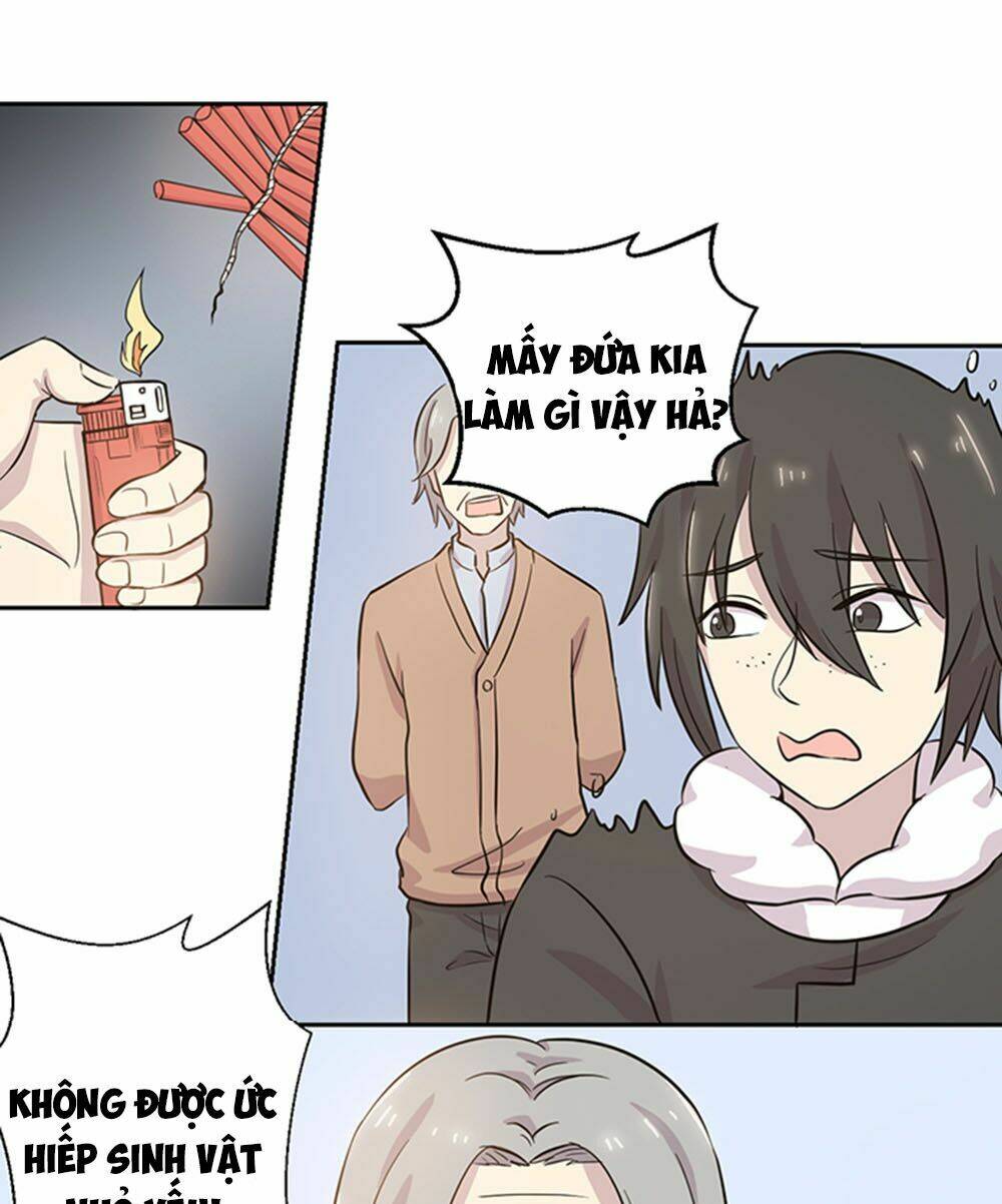 hai chú mèo totem chapter 22 22