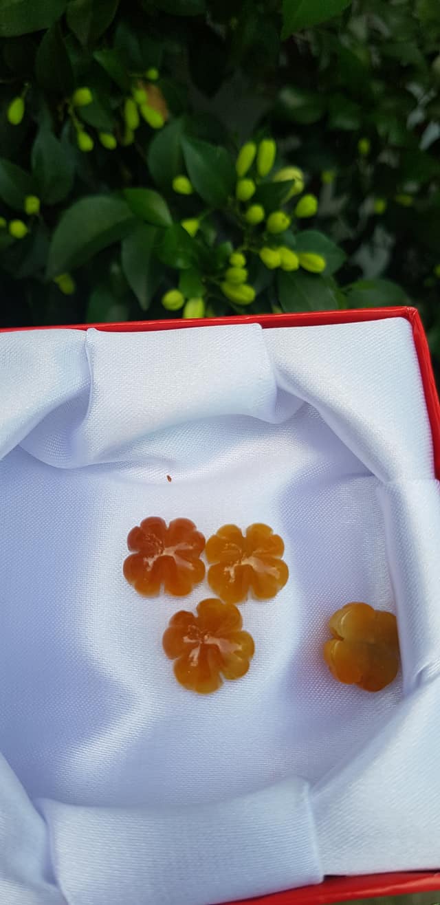 Mặt Bông Hoa cỏ 4 lá màu vàng cam nữ phối vòng tay,làm mặt nhẫn Chất liệu đá cẩm thạch size hạt 14mm x dầy 6mm Nữ về phối với vòng tay của mình đeo hay làm mặt nhẫn mặt dây chuyền đeo xinh ạ