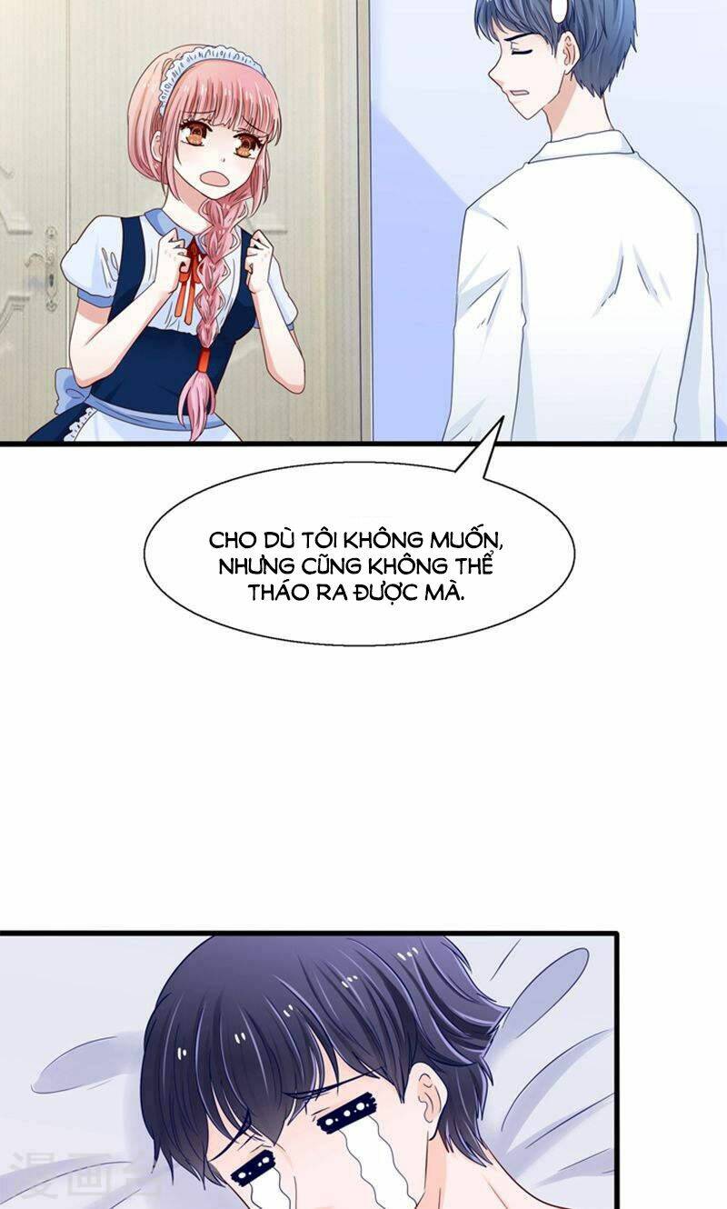 tôi bị gấu trúc nhìn trúng rồi chapter 19 17