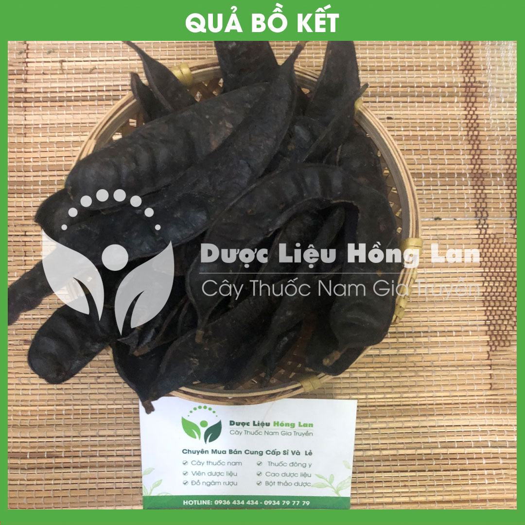 1kg quả bồ kết khô sạch