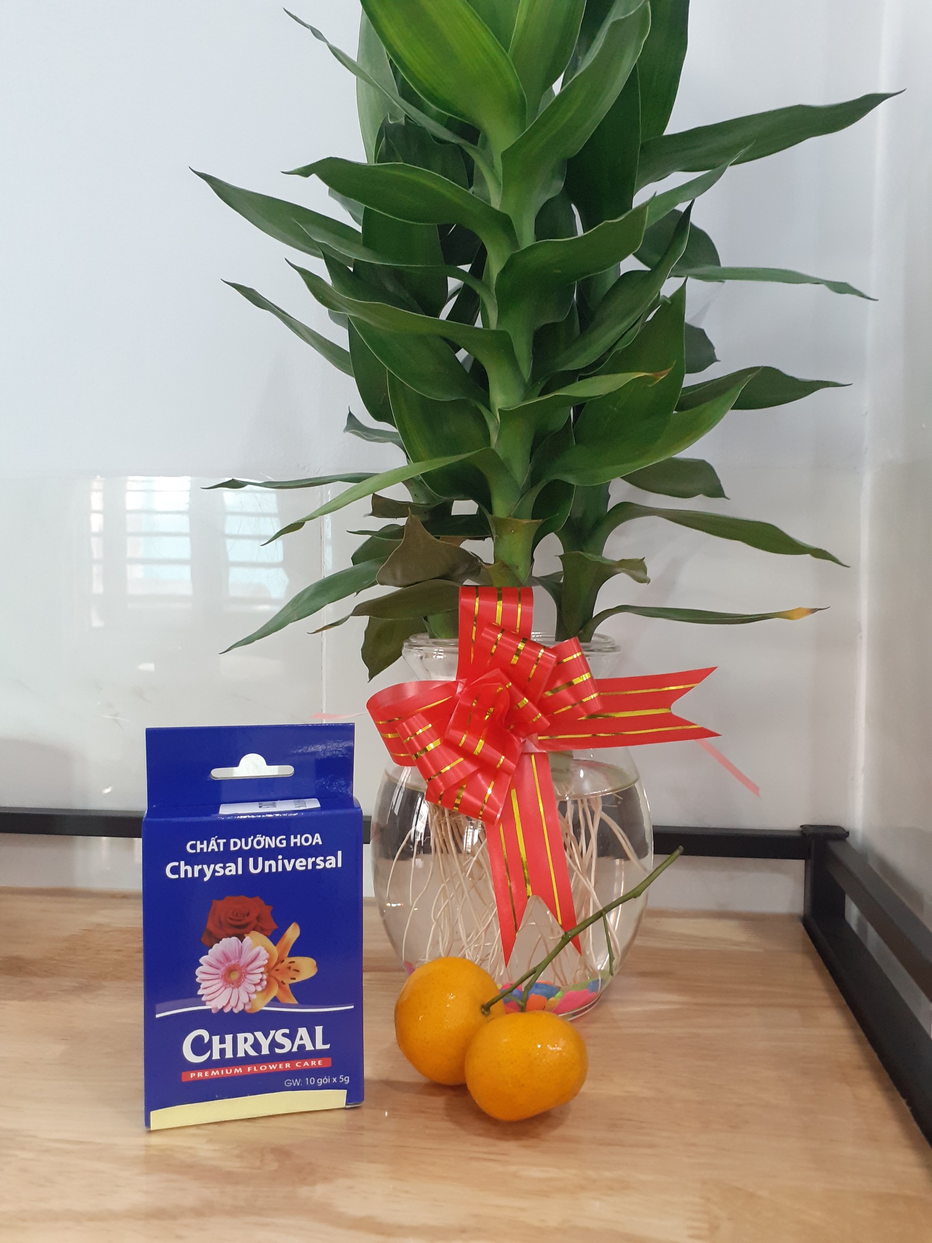 Hộp 10 gói Chất Dưỡng Hoa Chrysal UNI.
