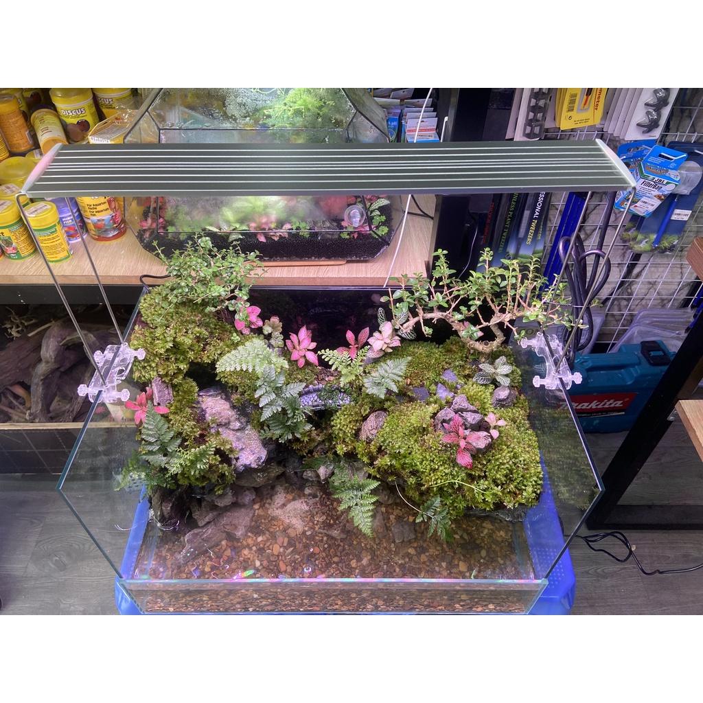 ĐÈN LED COCO WRGB R900