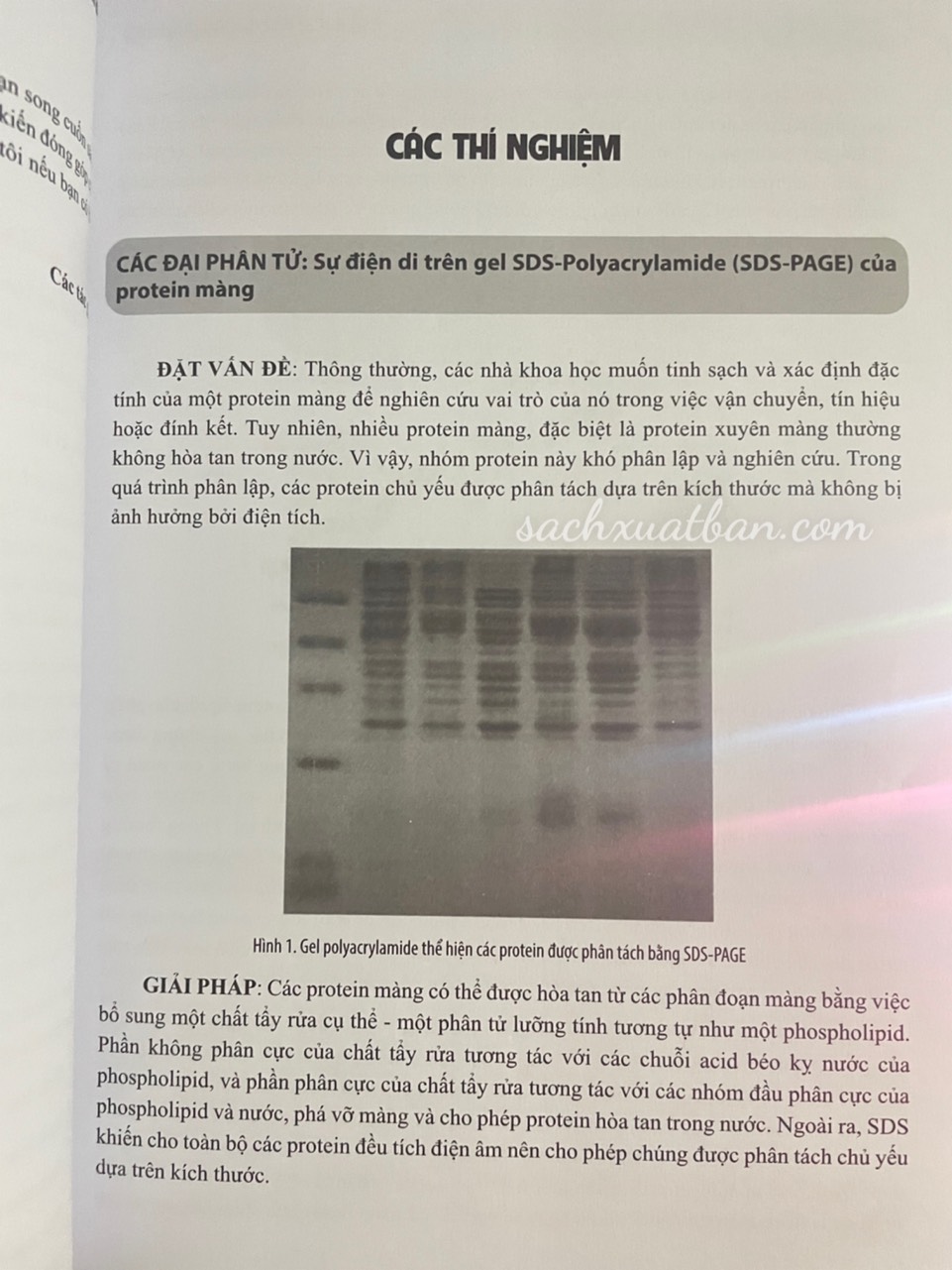 Sinh học tế bào – Bài tập chuyên đề