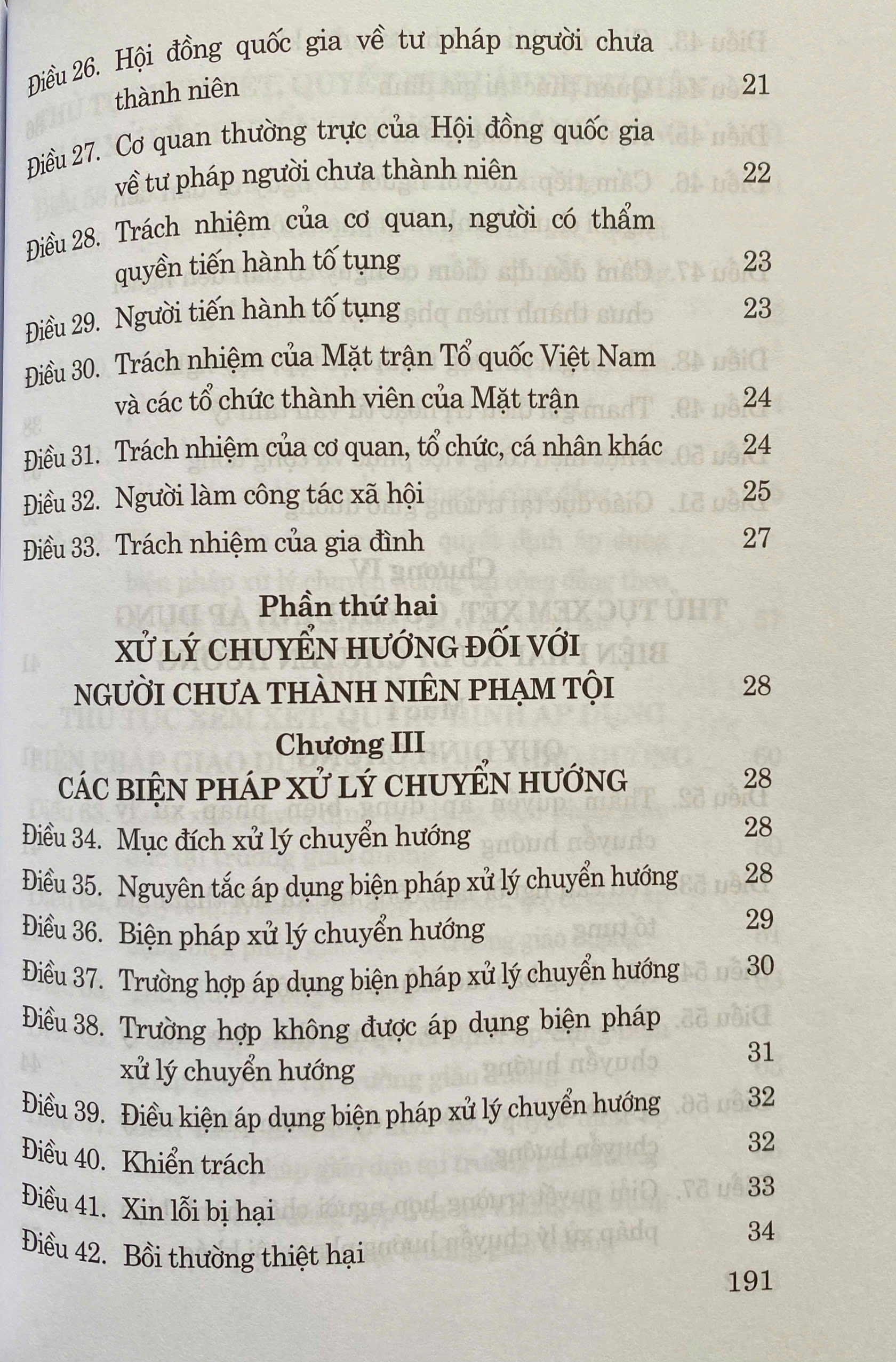 Luật Tư Pháp Người Chưa Thành Niên ( Sửa Đổi, Bổ Sung Năm 2025)