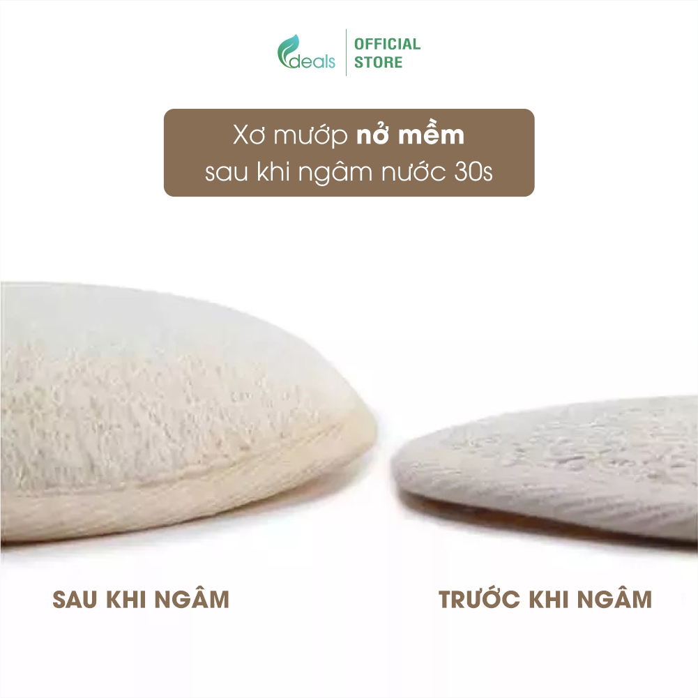 [PHIÊN BẢN MỚI] Bông Tắm Xơ Mướp Cao Cấp ECODEALS 100% Xơ Mướp Hữu Cơ - Xơ mướp loại 1, làm sạch cơ thể, tẩy da chết, massage linh hoạt - 1 cái - KT 11 x 16cm