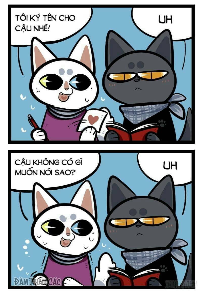 đời không như mình tưởng chapter 43 5