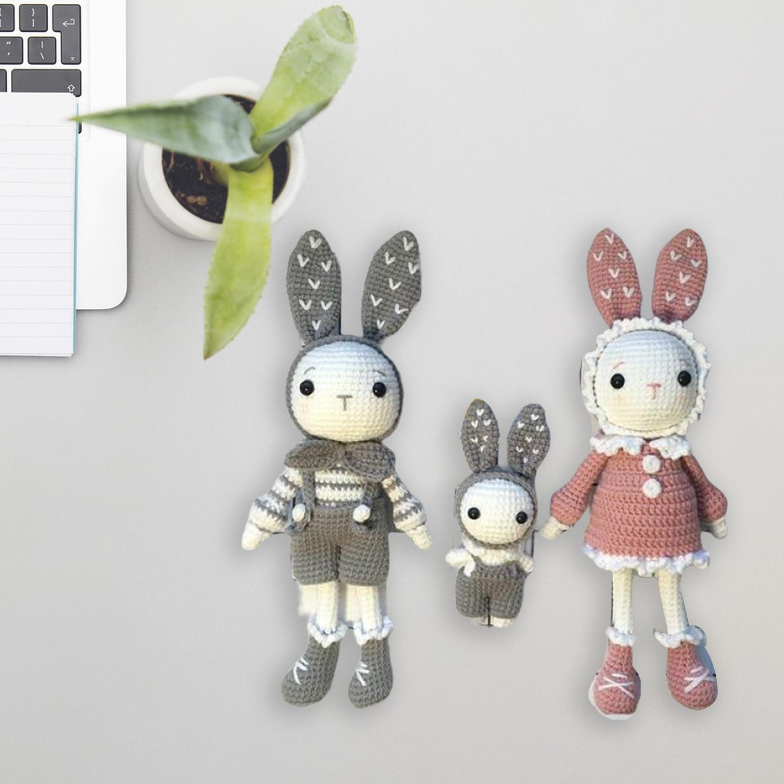 DIY Cartoon Rabbit Doll Crochet   to Make Decoration