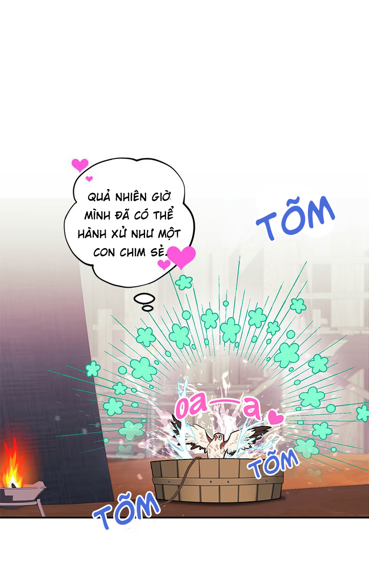 công chúa của loài chim chapter 6 27