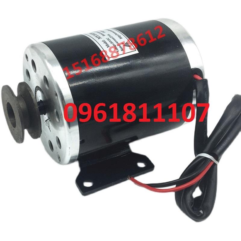Motor 24V 500W độ kèn hơi các loại