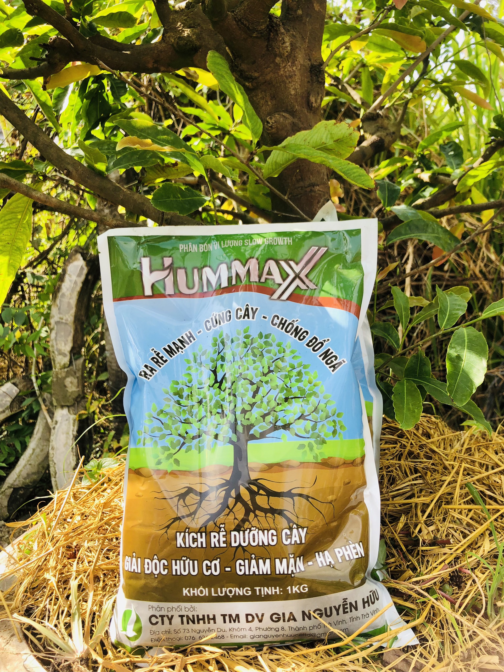 HUMMAX gói 1kg - kích rễ cứng cây