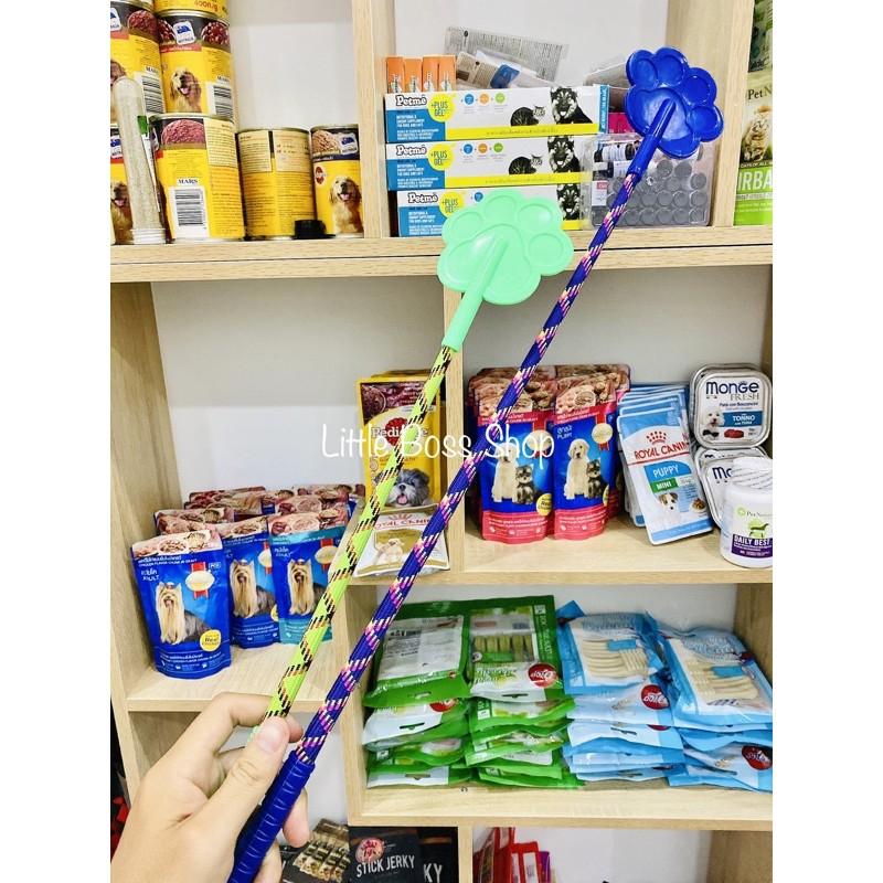 Roi huấn luyện cún cưng