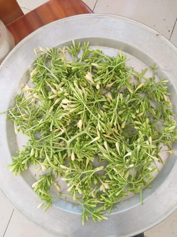 Đặc Sản Kon Tum - Hoa đu đủ đực khô hỗ trợ tiểu đường hiệu quả - Bịch 500g- OCOP 3 Sao