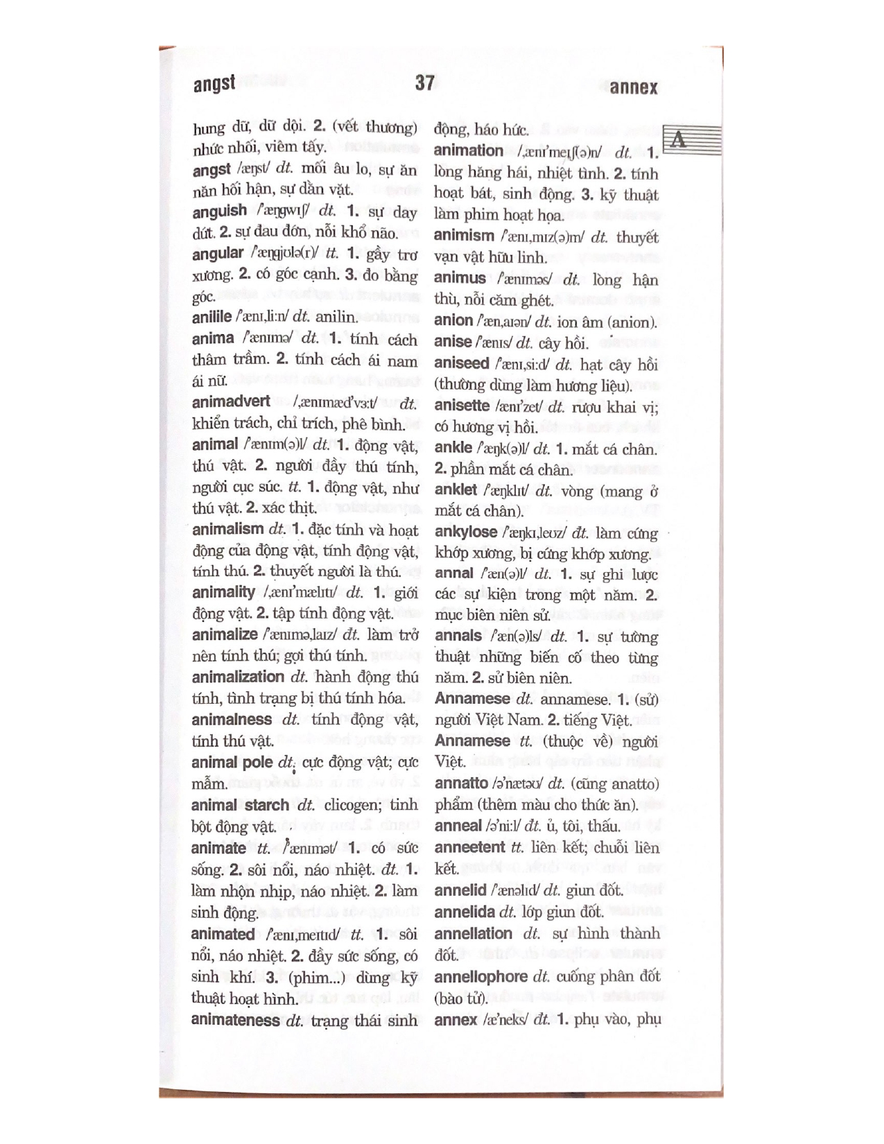 Từ Điển Anh - Việt 100.000 Từ - Vanlangbooks