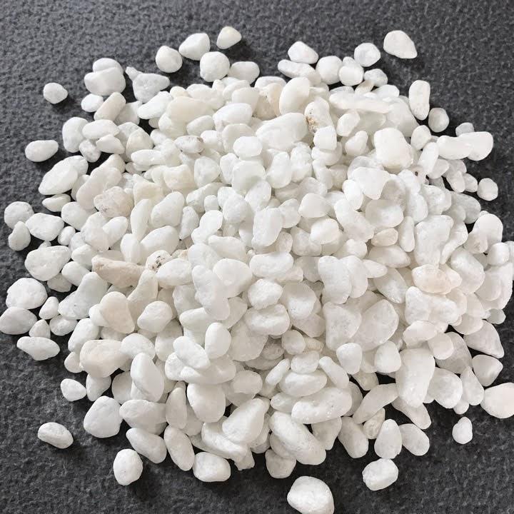 1 KG SỎI TRẮNG CỠ VỪA TRANG TRÍ BỂ CÁ,CHẬU CÂY,TIỂU CẢNH -SỎI TRẮNG