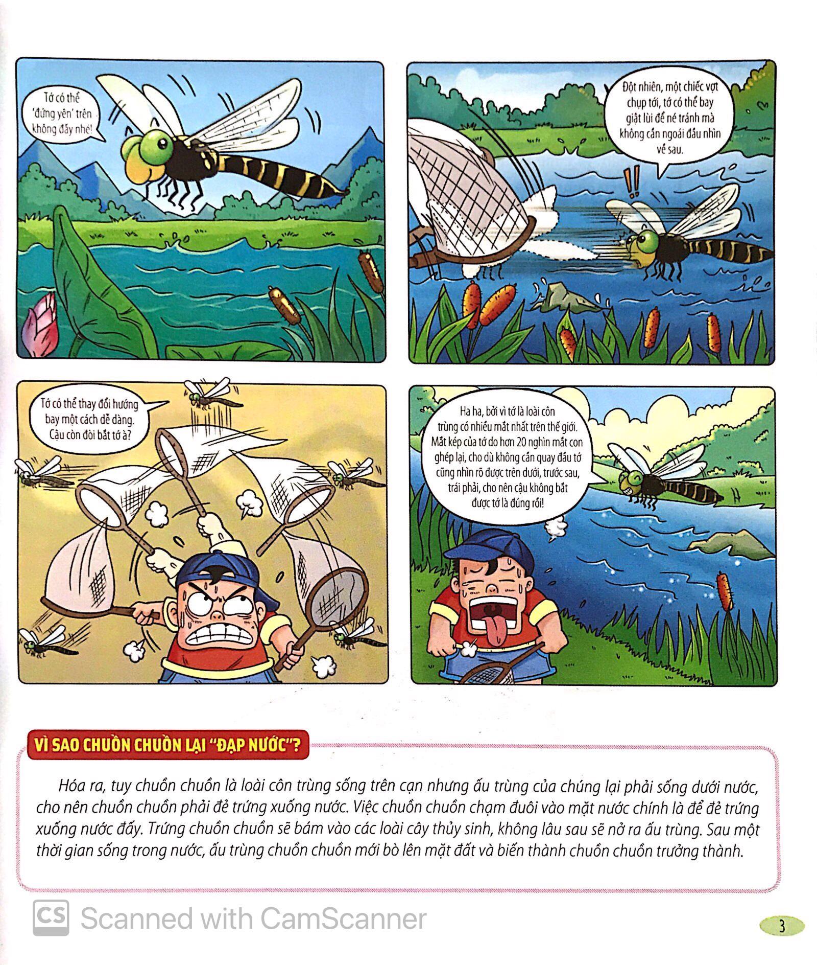 Bách Khoa Động Vật Dành Cho Trẻ Nhỏ - Côn Trùng