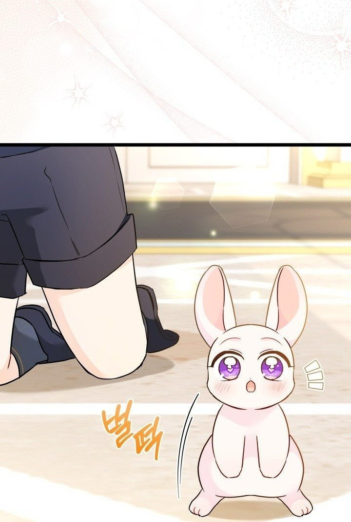 mối liên kết giữa báo đen và bé thỏ chapter 168 18