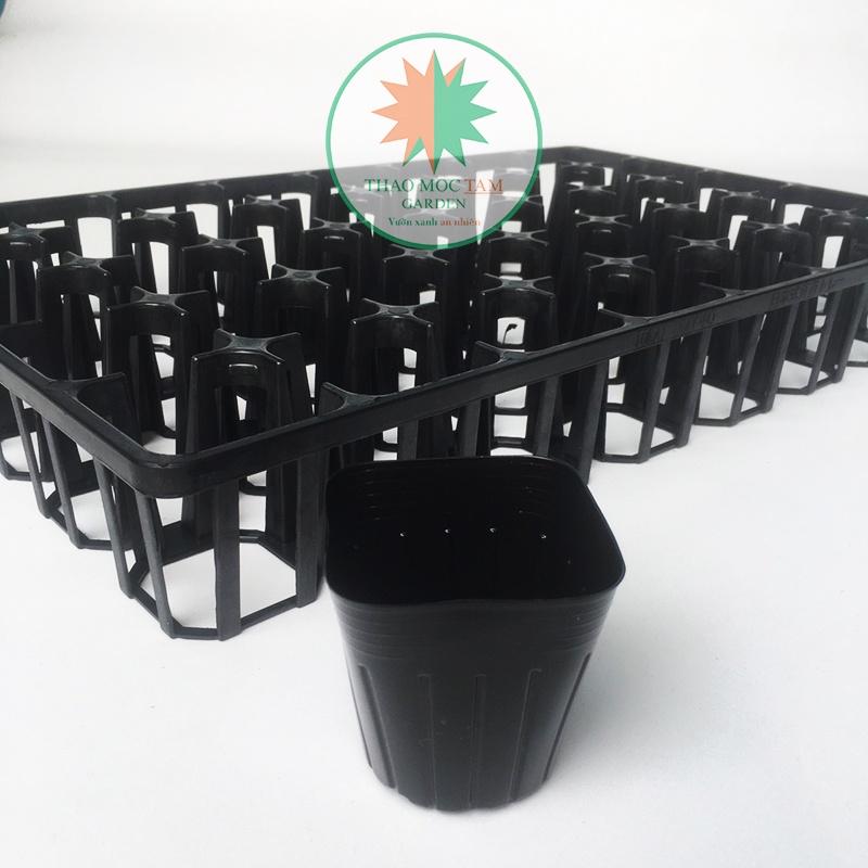Combo 05 Bộ Khay 40 lỗ + 200 Chậu ươm 7.5 chuẩn Nhật - Khay ươm cây con, cây giống làm vườn