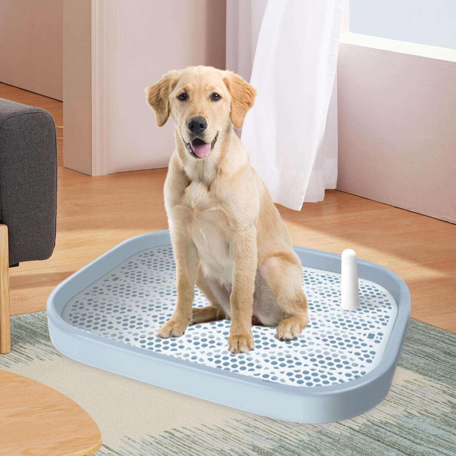 Dog Toilet Puppy Potty Tray for Cat Training Pad Holder Dog Potty Tray