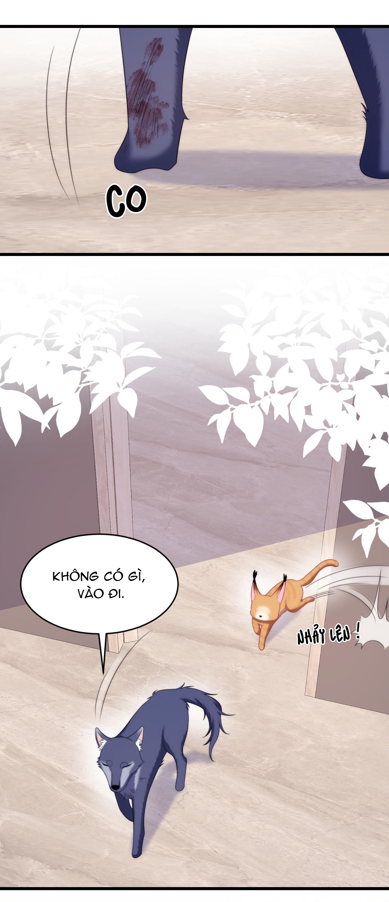 mèo hoang nhỏ của học bá quá chọc người rồi chapter 35 5