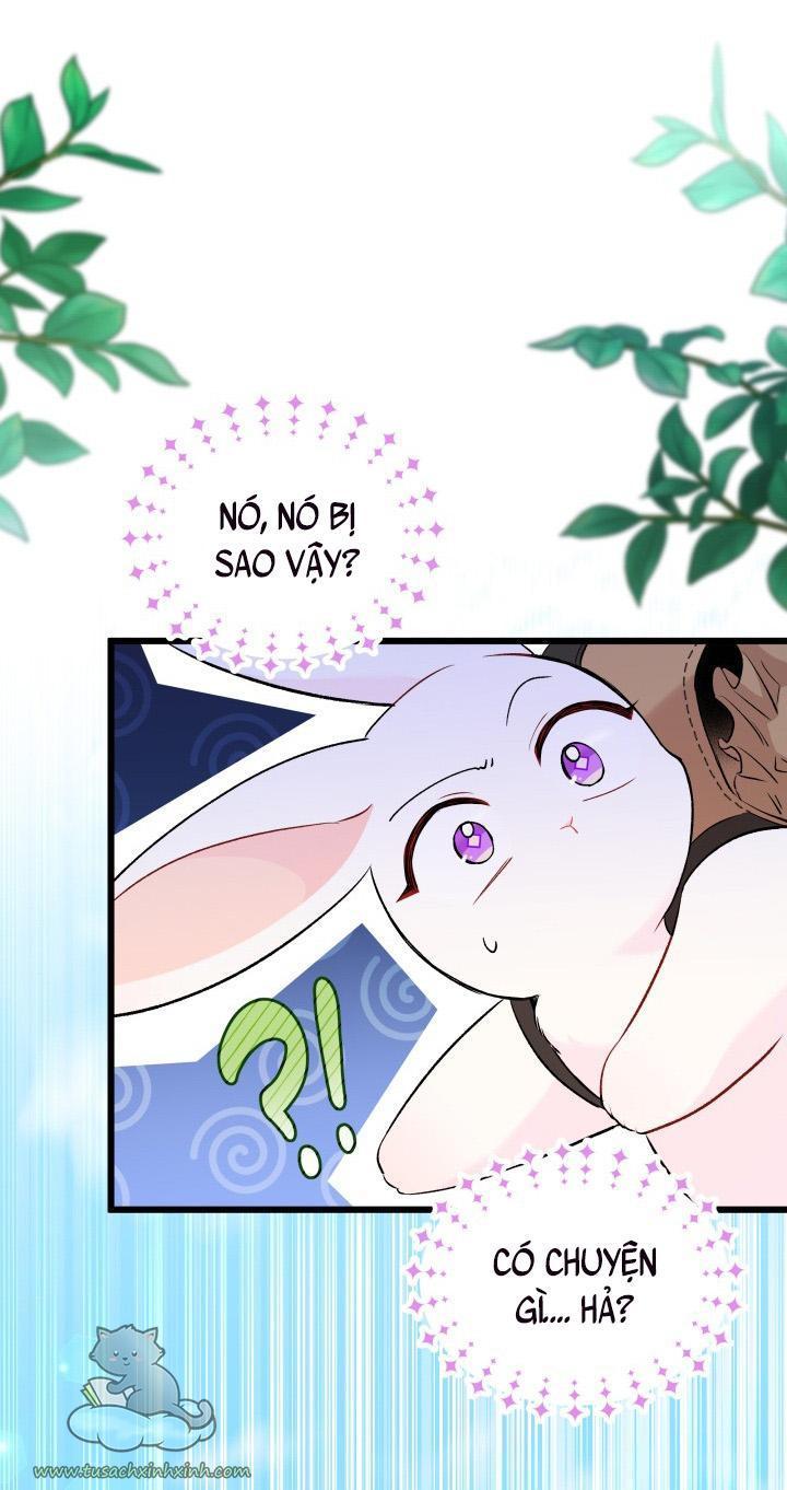 quan hệ cộng sinh giữa báo đen và thỏ trắng chapter 60 41