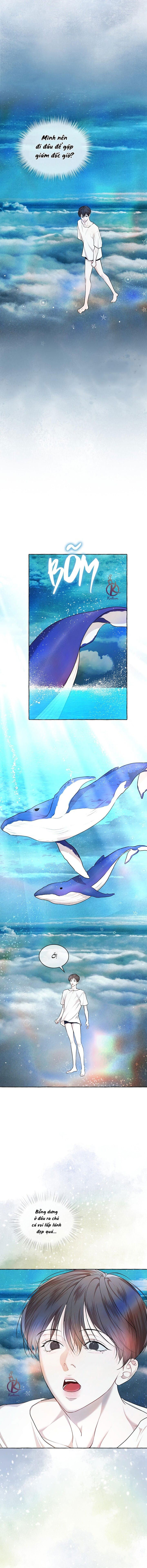 hình thái khởi sinh chapter 76 9