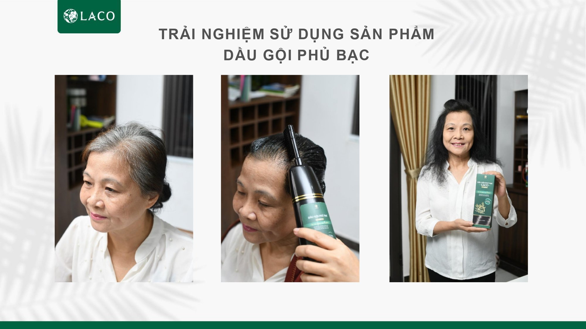 [Chính hãng] Dầu Gội Phủ Bạc Laco Black Hair - Tóc đen tự tin sau 9 phút