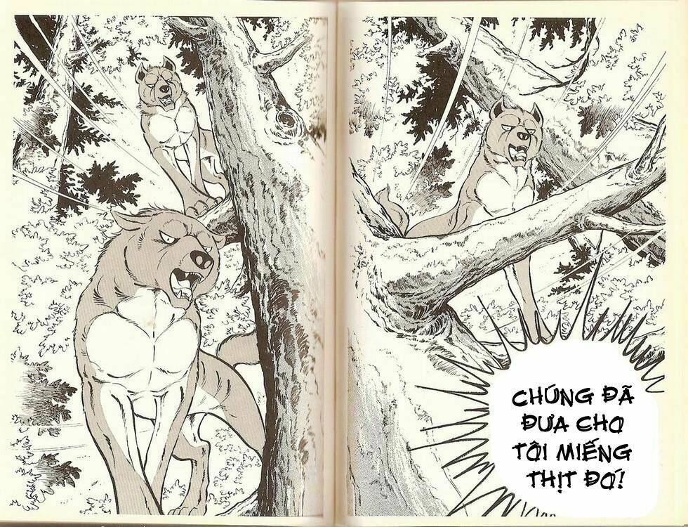 chú chó có nghĩa - ginga nagareboshi gin chapter 17 11