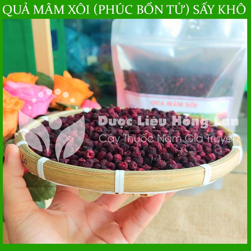 500G Phúc Bổn Tử (Quả Mâm Xôi) sấy khô thượng hạng loại 1