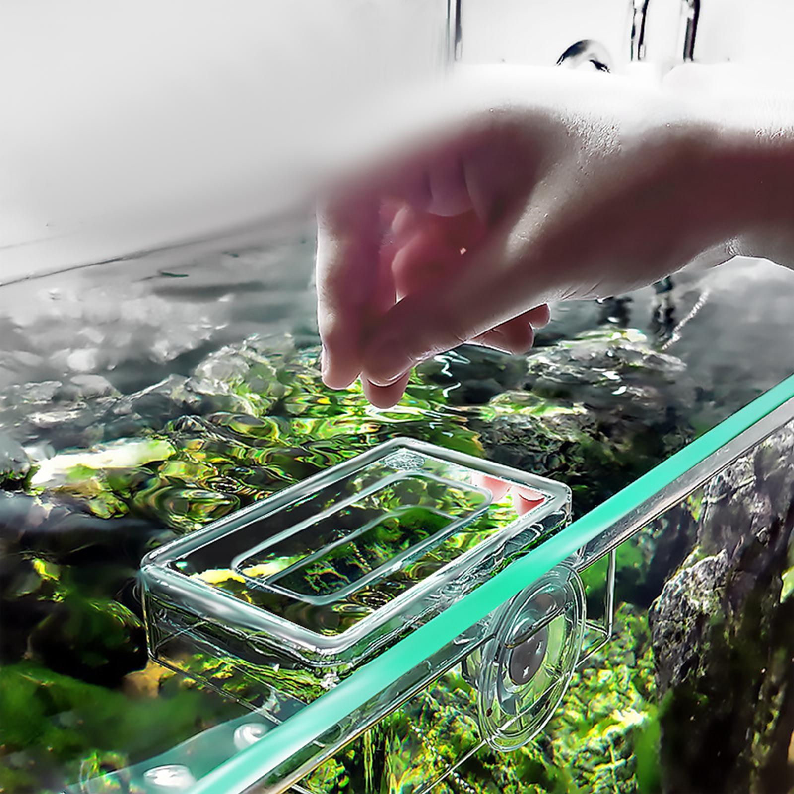 Fish Feeding Aquarium Feeder, Feeding Durable with Suction Cup Fish Feeder for Fish Tank Worm Fish African Dwarf Frog