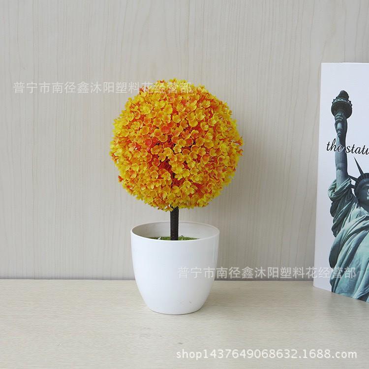 Chậu hoa cẩm tú cầu để bàn, để trang trí kệ treo tường .
