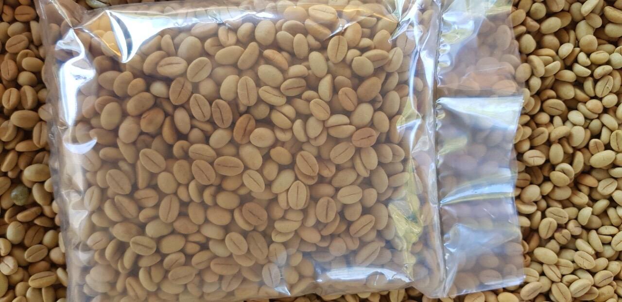 500 gram HẠT GIỐNG CÀ PHÊ XANH LÙN .