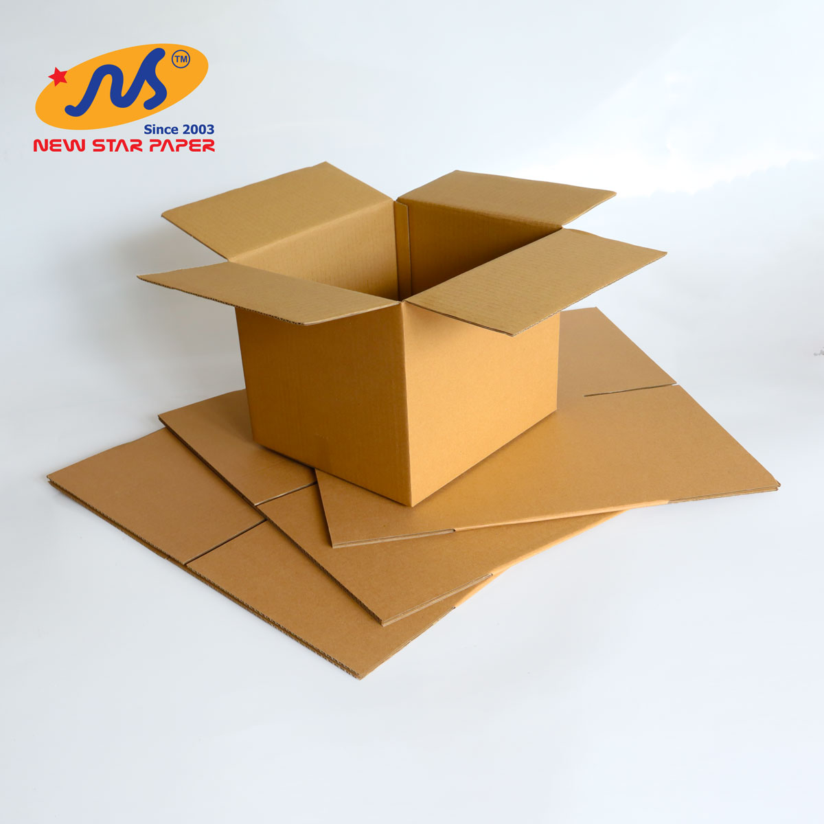 25x22x20cm - Combo 10 thùng giấy carton