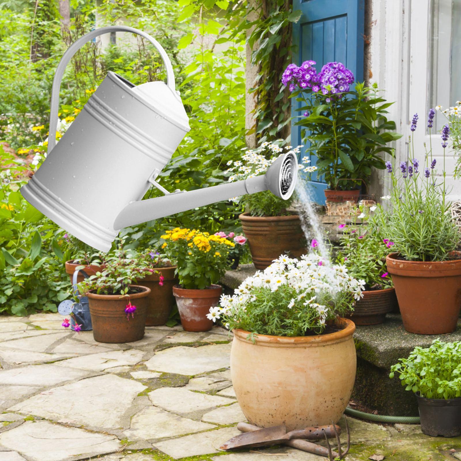 Watering Can Flower Watering Sprinkler Head for Indoor Garden