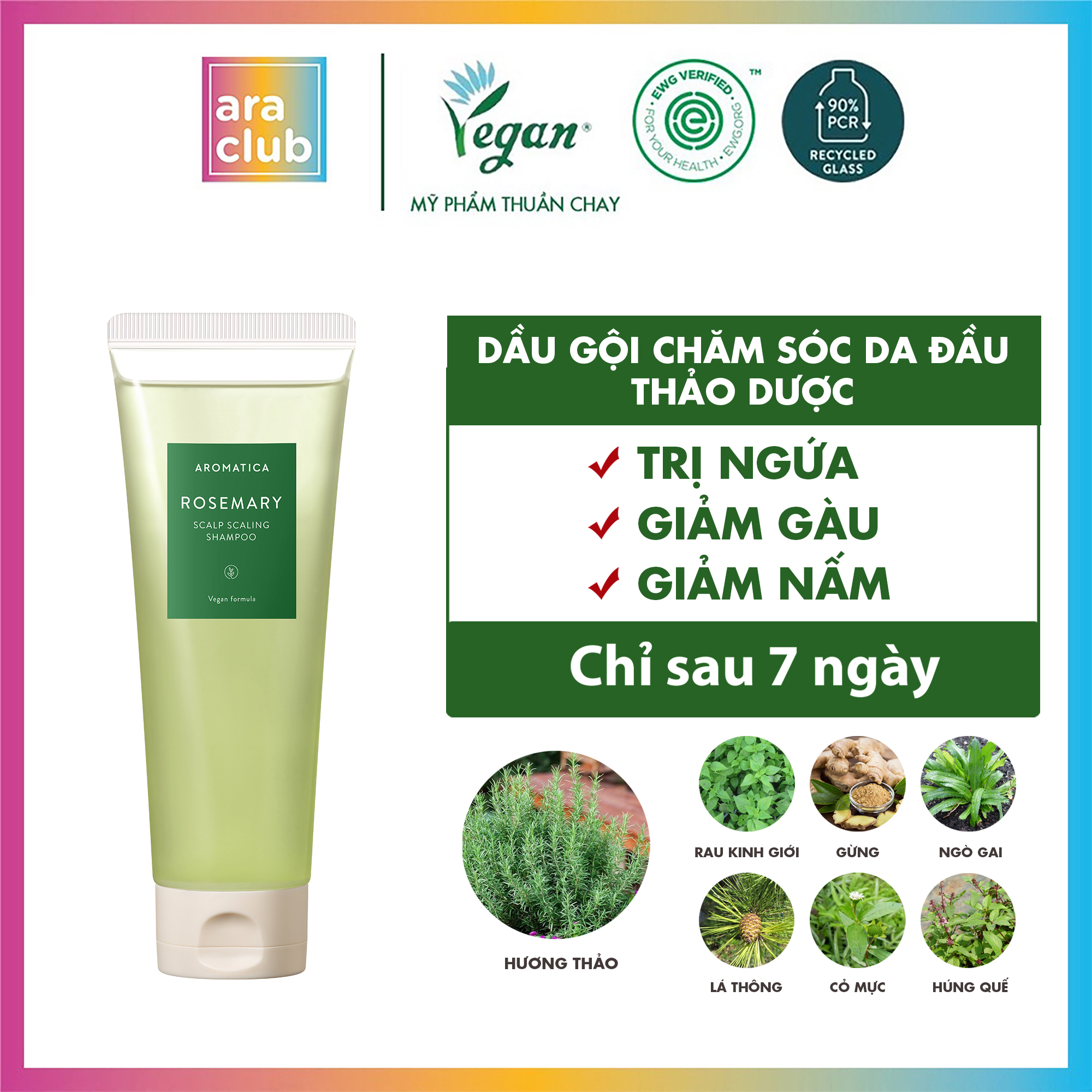 Dầu Gội Giảm Gàu Ngứa Chiết Xuất Hương Thảo Aromatica Rosemary Scalp Scaling Shampoo 180ml