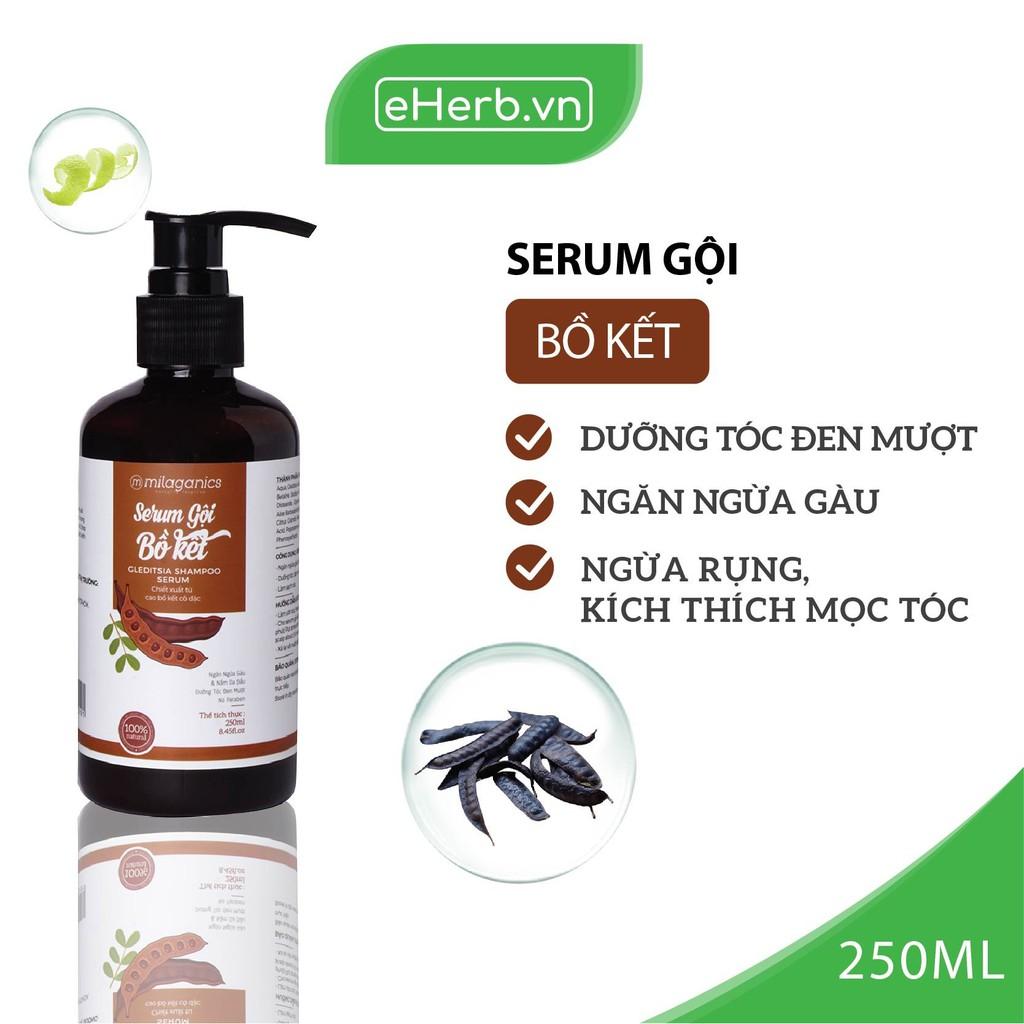 Serum Gội Bồ Kết Dưỡng Tóc Đen, Chắc Khỏe &amp; Kích Thích Mọc Tóc Từ Cao Bồ Kết Cô Đặc MILAGANICS 250ml (Chai)