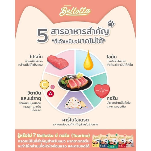 Thùng Pate 24 gói cho mèo Bellotta 85gram mix vị ngẫu nhiên