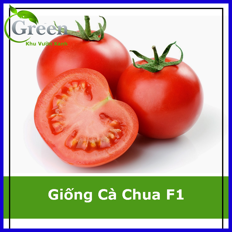 Hạt Giống Cà Chua Lai F1