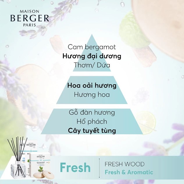 Maison Berger - Tinh dầu đèn xông hương Fresh Wood - 500ml