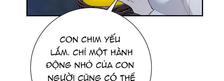 công chúa của loài chim chapter 51.1 290