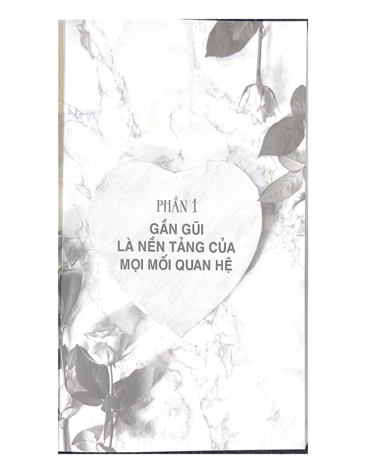 Từ Nay Thôi Cô Đơn