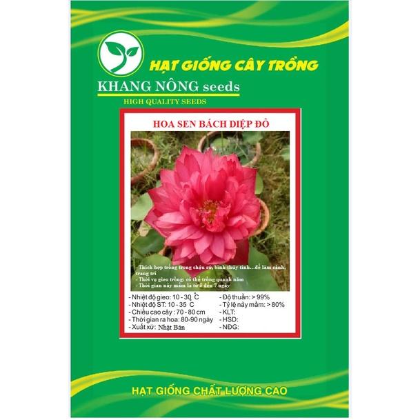 Hạt giống hoa sen bách diệp đỏ KNS3457 - Gói 5 hạt