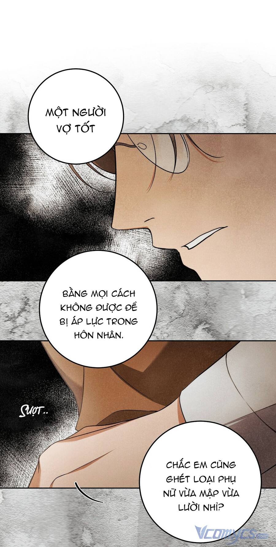 lời nói dối vĩnh cửu của người chapter 25 29