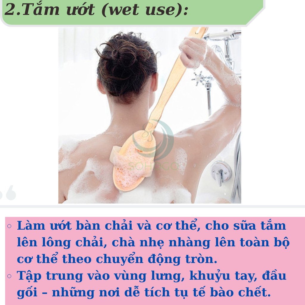Bàn chải tắm cán dài bằng gỗ tự nhiên - Bàn chải massage cơ thể cao cấp - Cọ tắm khô &amp; ướt cán dài tiện lợi - Bàn chải chà lưng chống tế bào chết - Bàn chải tắm toàn thân spa tại nhà