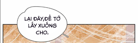 nỗi buồn của hoa cẩm tú cầu chapter 22 21